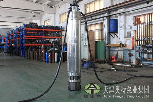 不銹鋼潛水電機現貨 五金機電領域的可靠選擇