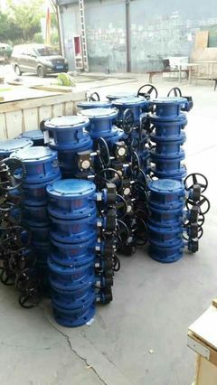 遠大閥門集團陜西銷售處 連接品質(zhì)與需求的專業(yè)紐帶